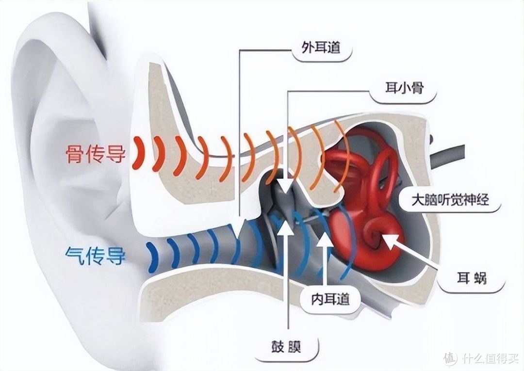 骨傳導耳機優缺點有哪些？100多和1000多有什么區別？買前建議先看看