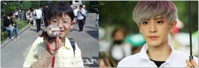 健身明星男身材排名_四五十歲健身男明星_健身的明星男