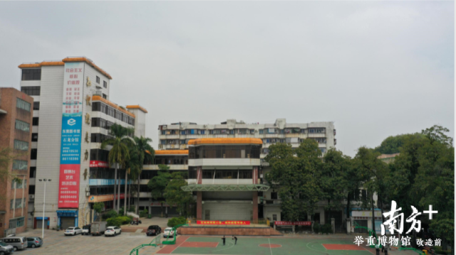 石龍：舉重之鄉，中國舉重博物館籌備建設有