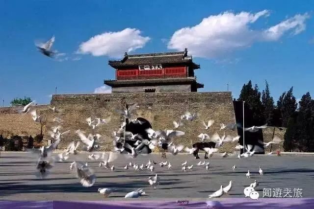 2020沙灘足球_沙灘足球歷屆亞洲冠軍名單_亞洲沙灘足球歷屆冠軍