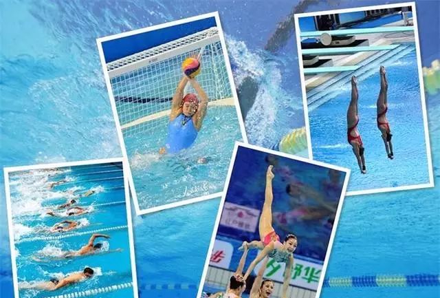 游泳、跳水、水球和花樣游泳：四大游泳運動