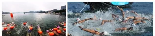 游泳踩水比賽規則是什么_游泳規則比賽踩水是什么運動_游泳中的踩水